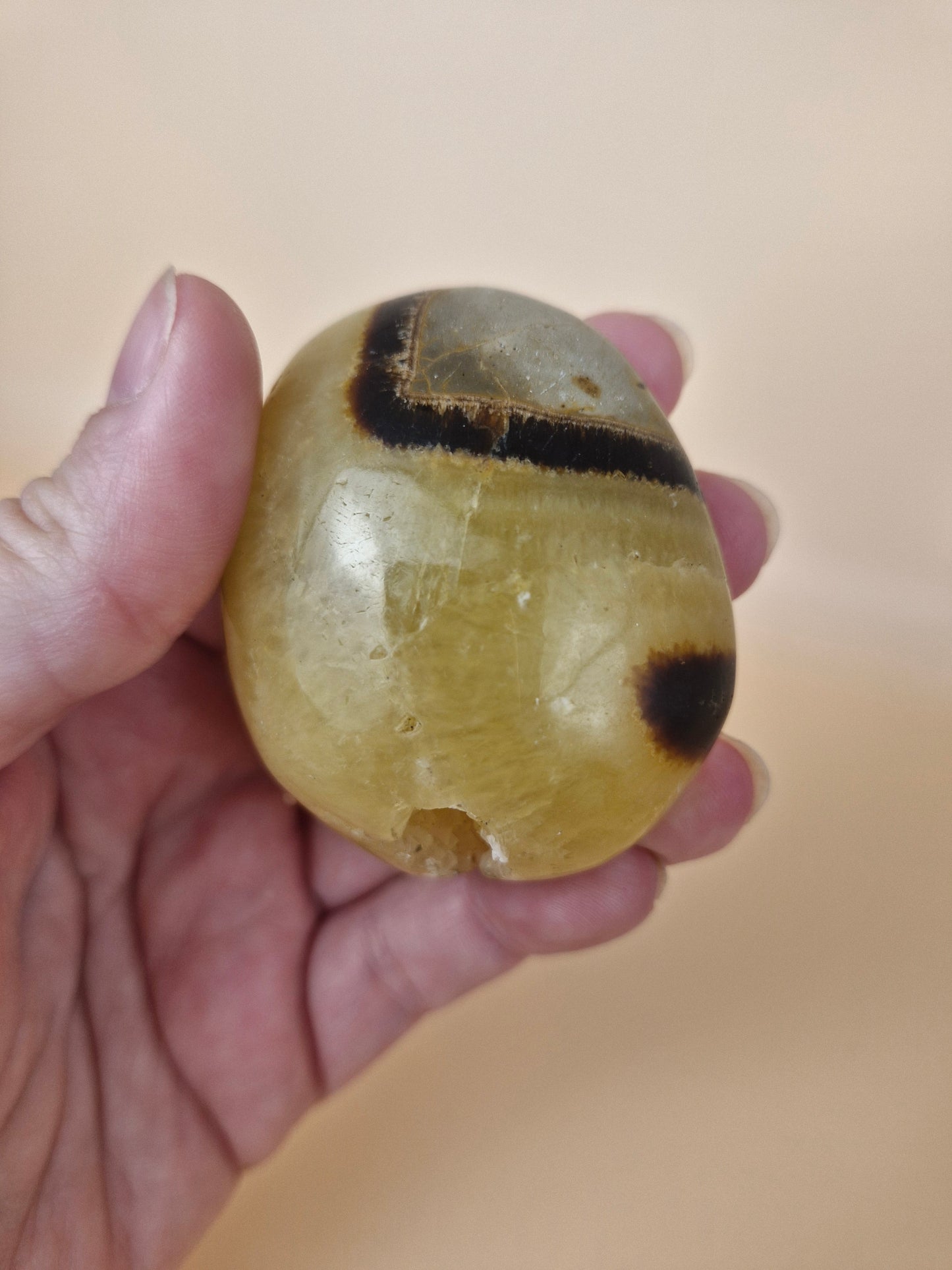 Septarian Palm with Druzy