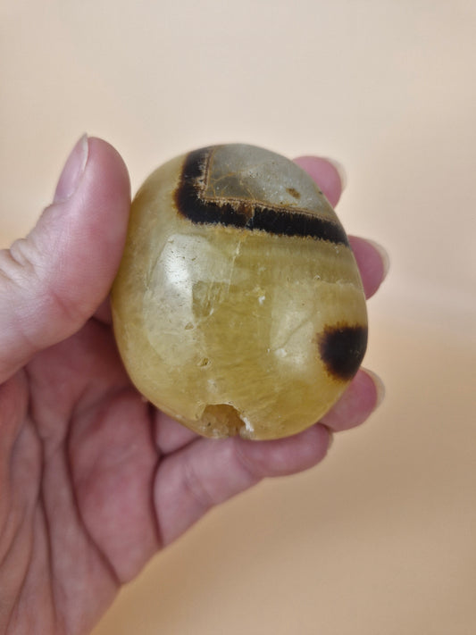 Septarian Palm with Druzy