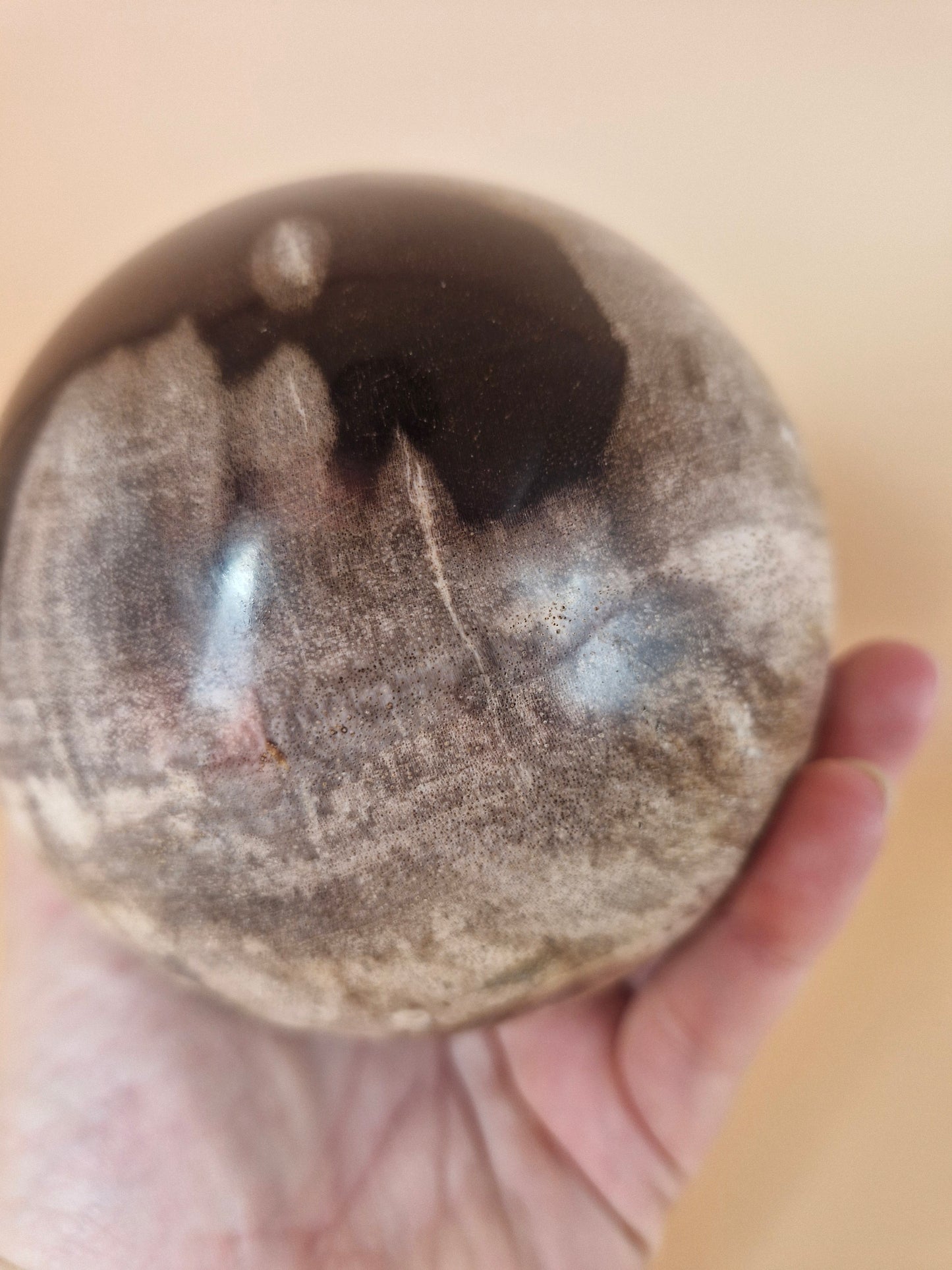 Indonesian Petrified Wood Sphere - 1.2kgs