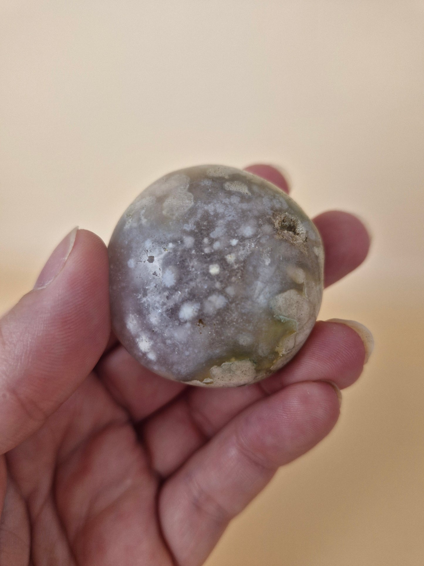 Flower Agate Palm (Code 8D)
