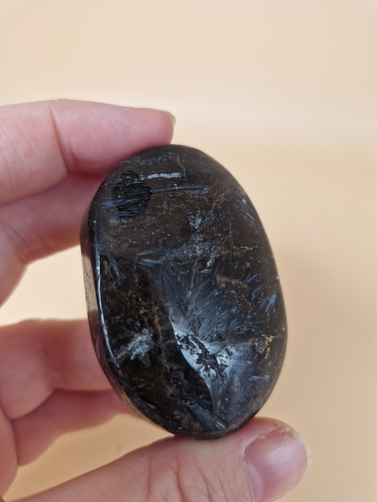 Anthophyllite & Garnet Palm