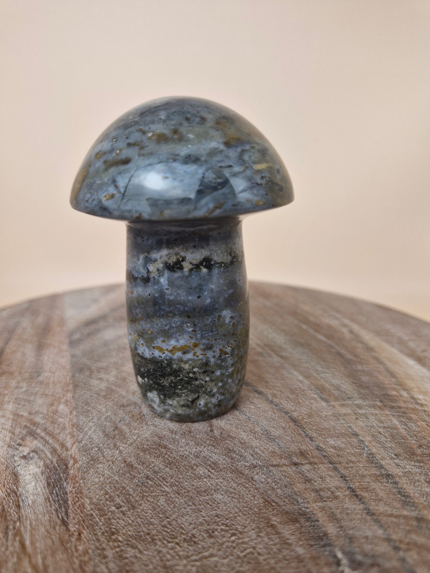 Ocean Jasper Mushroom