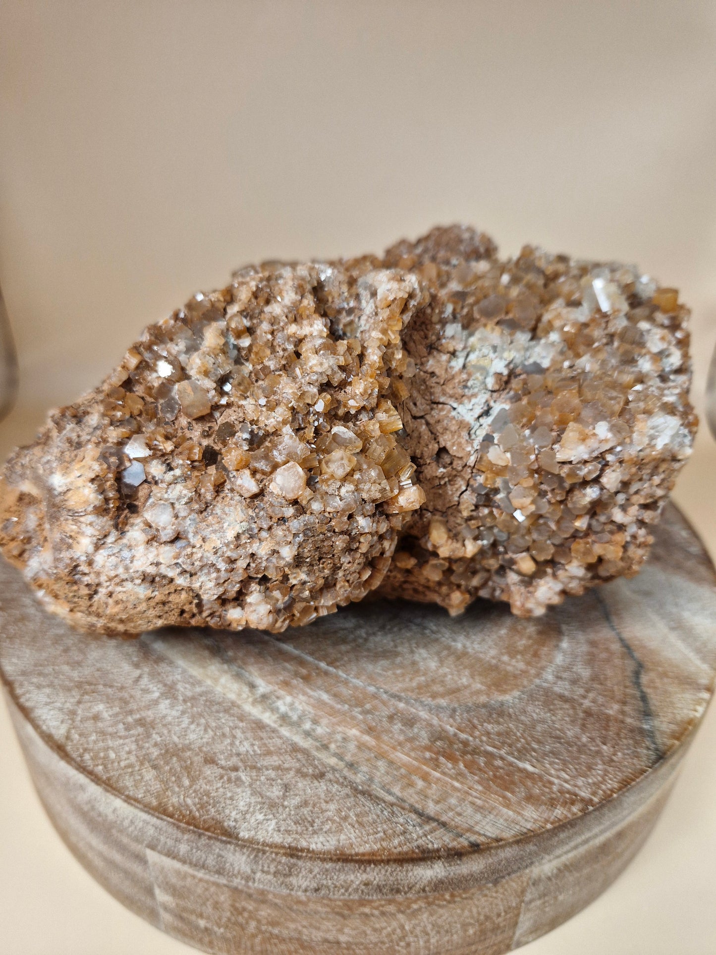 Jumbo Aragonite Sputnik