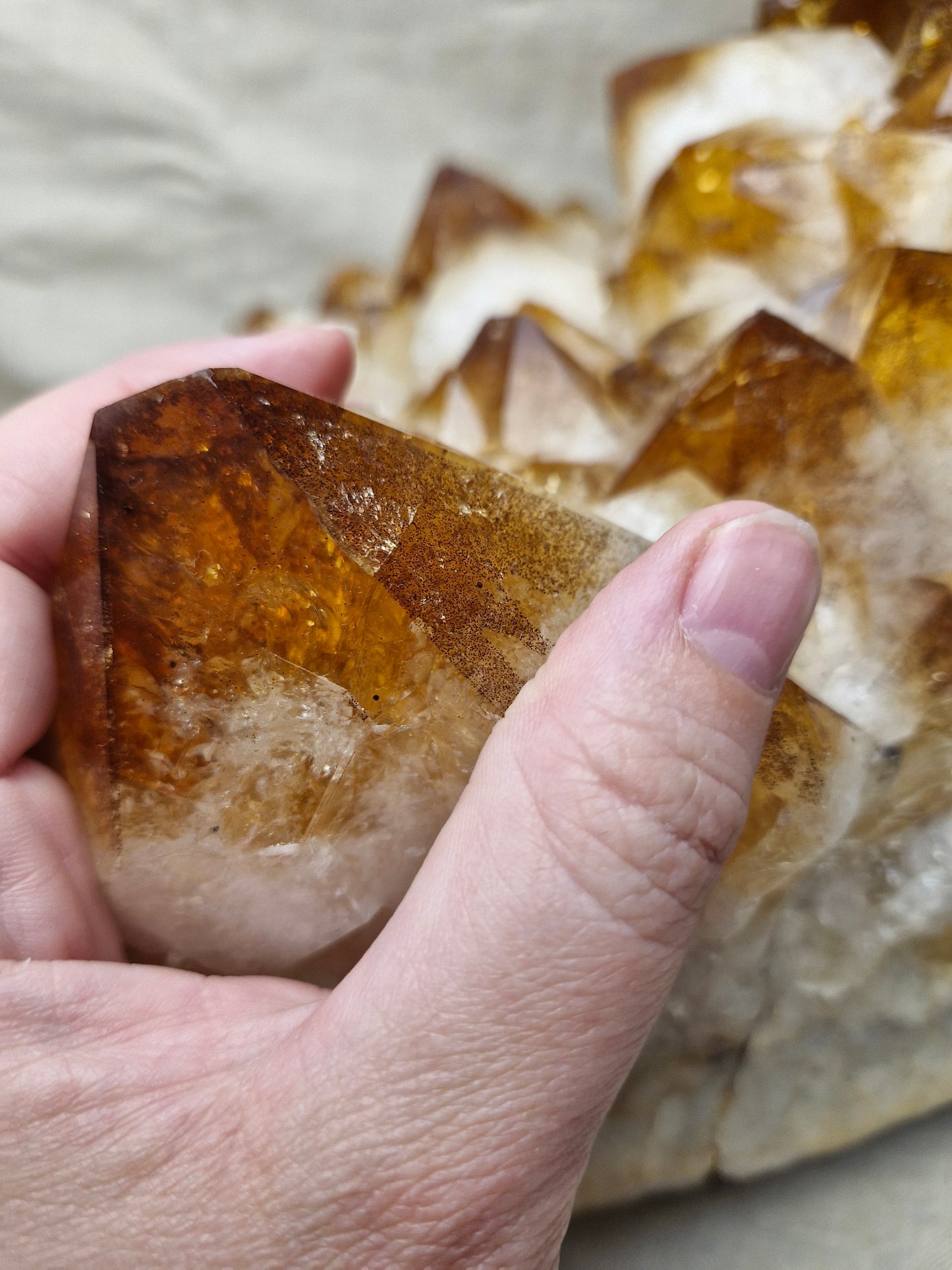 Citrine Cluster Statement Piece - 18.5kgs