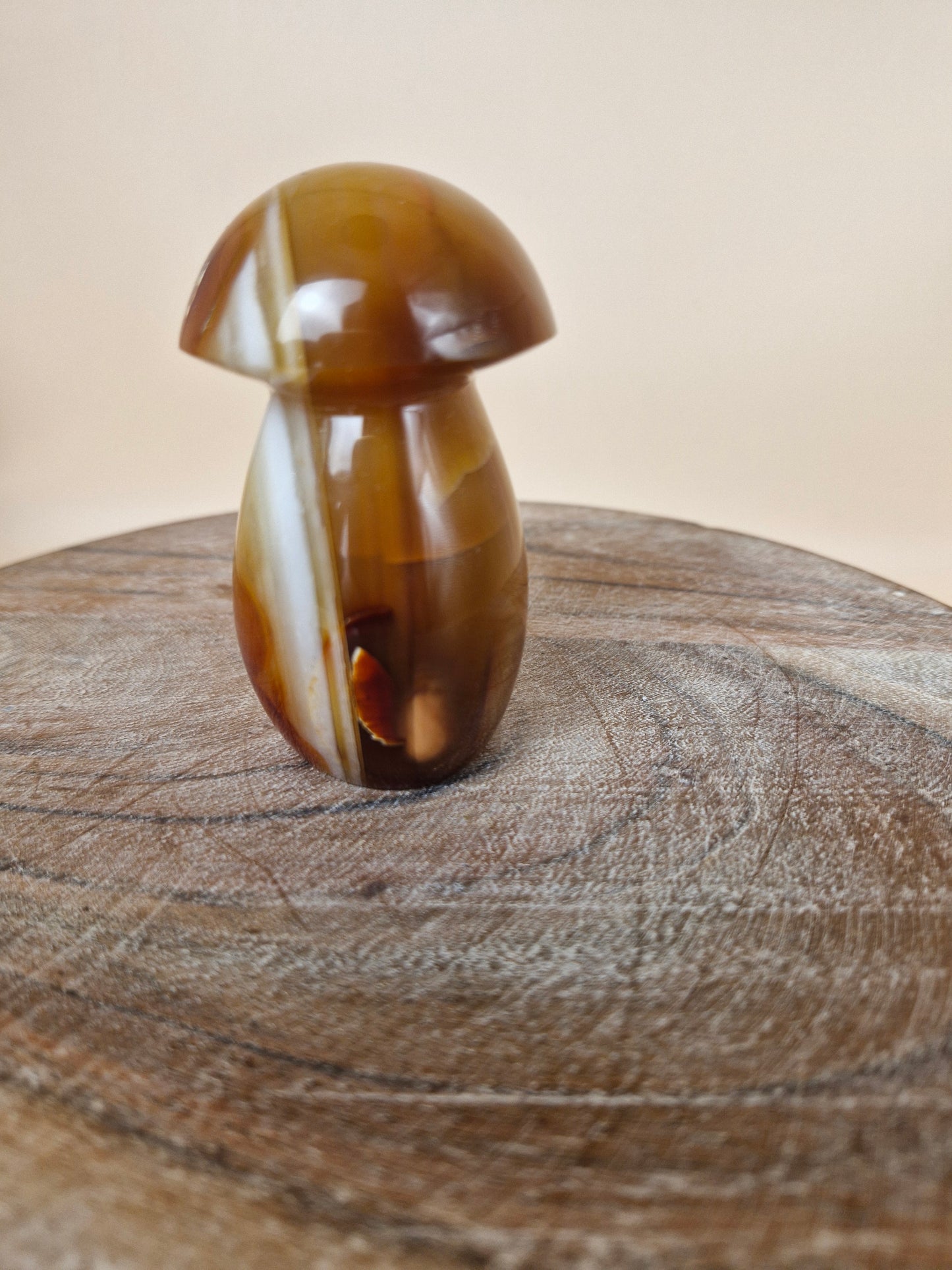 Carnelian Mushroom (code MC)