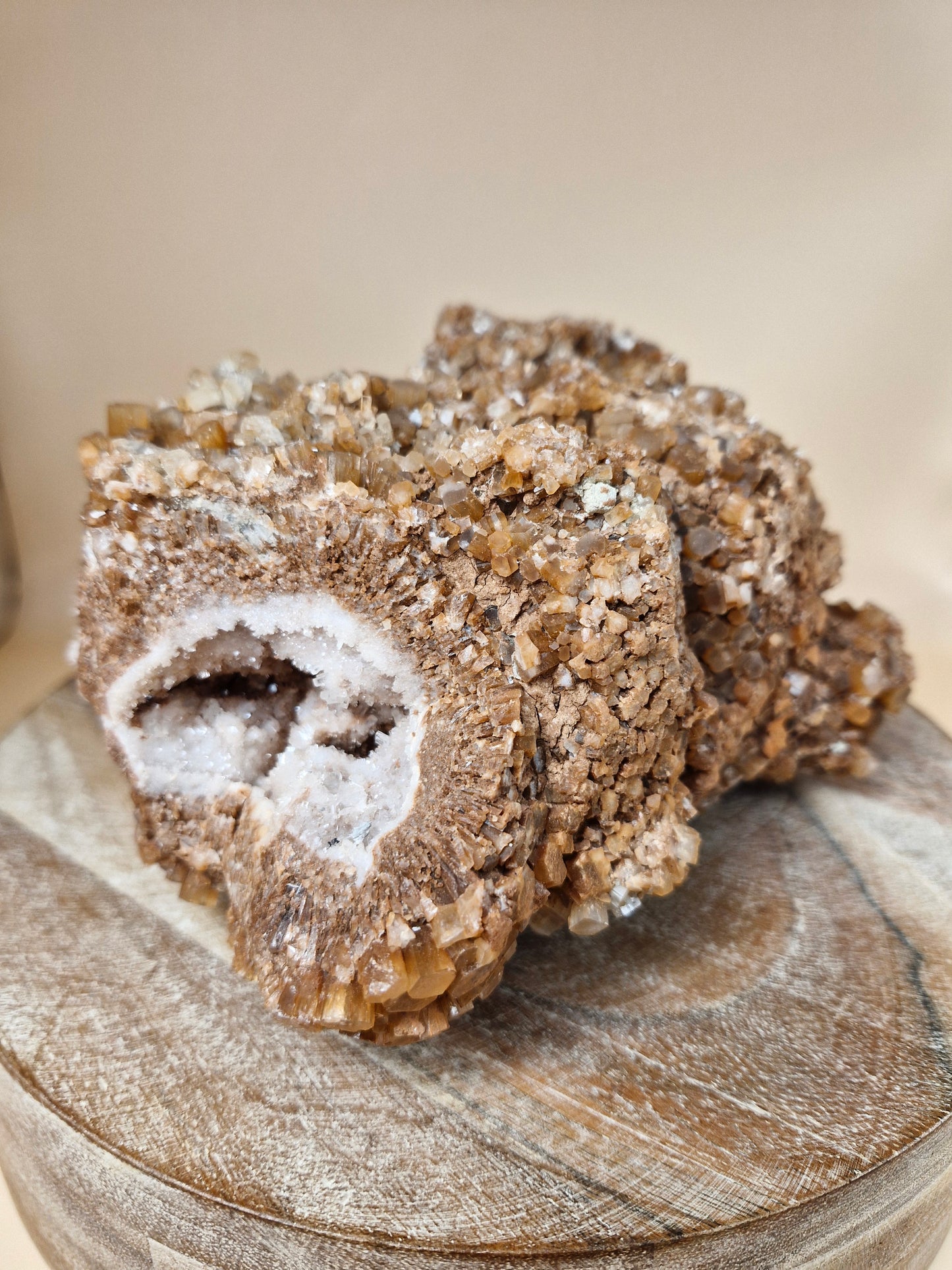 Jumbo Aragonite Sputnik