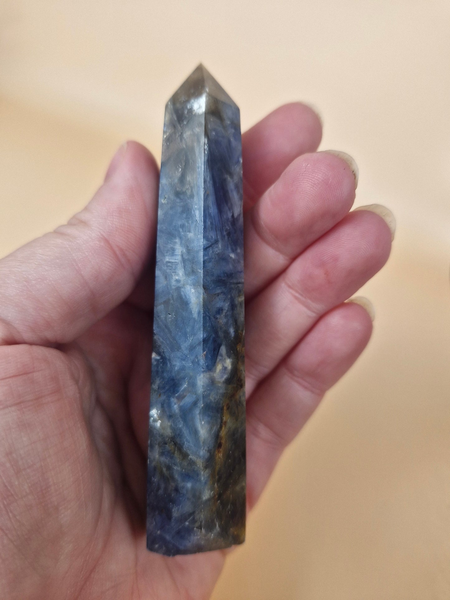 Kyanite with Golden Healer Point