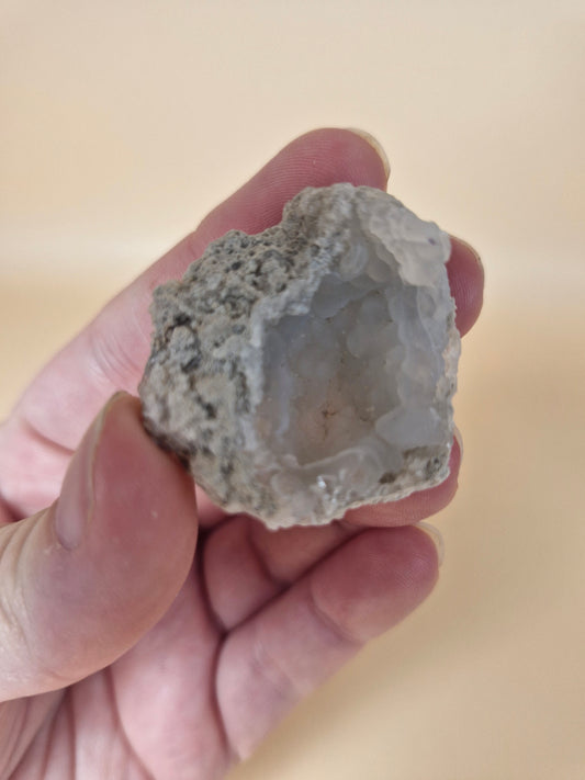 Spirit Flower Geode (code S2)