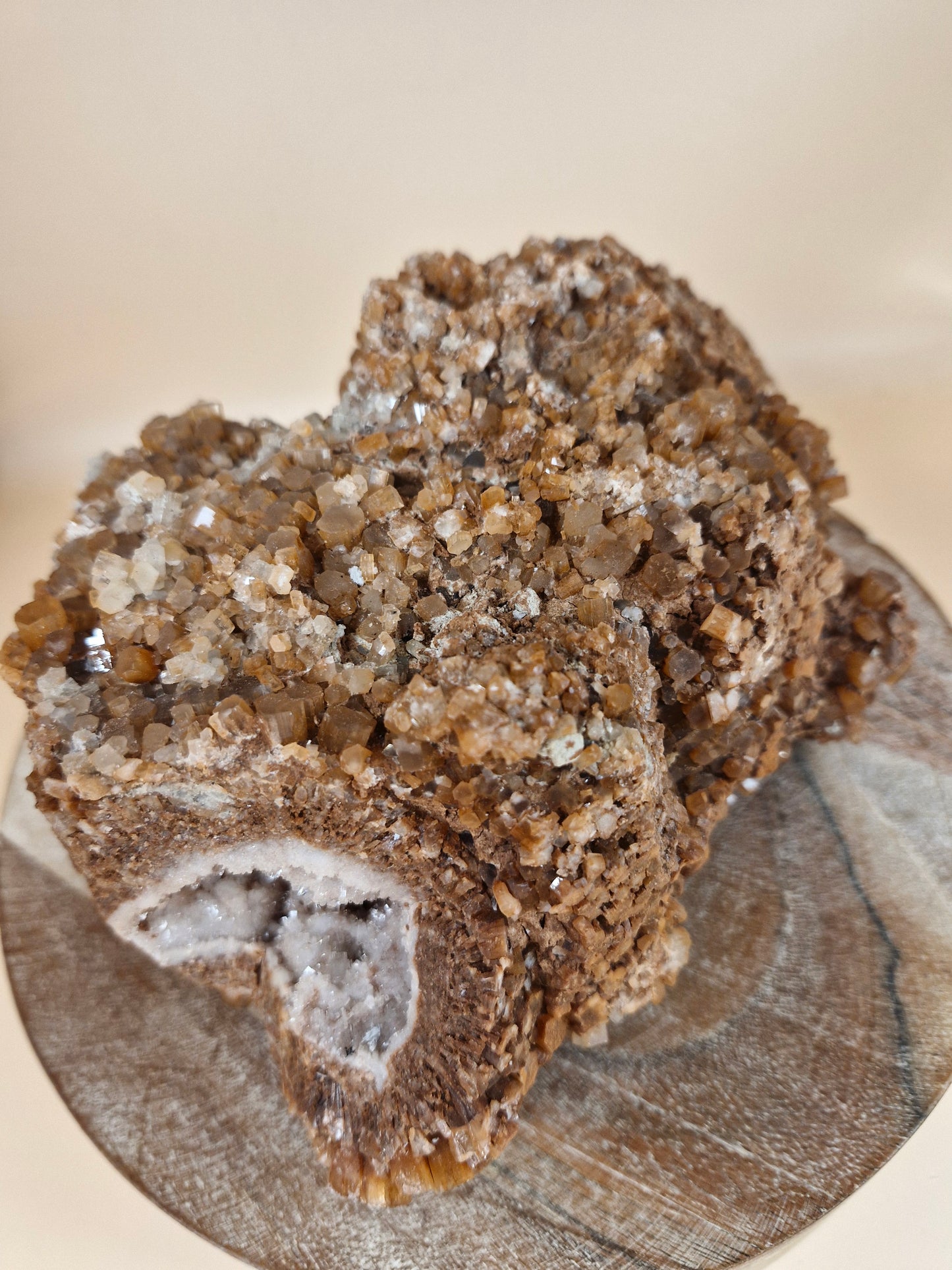 Jumbo Aragonite Sputnik