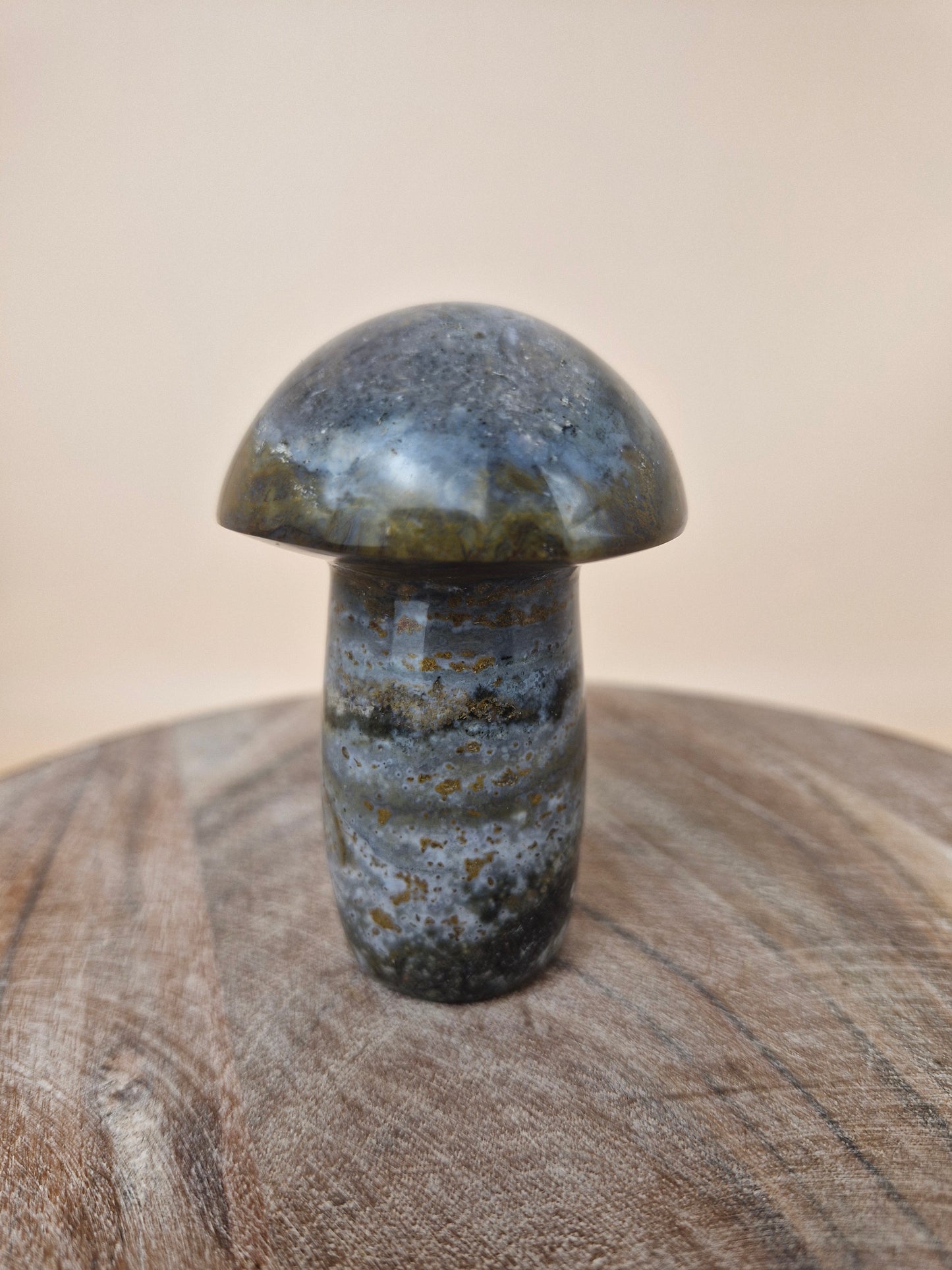 Ocean Jasper Mushroom