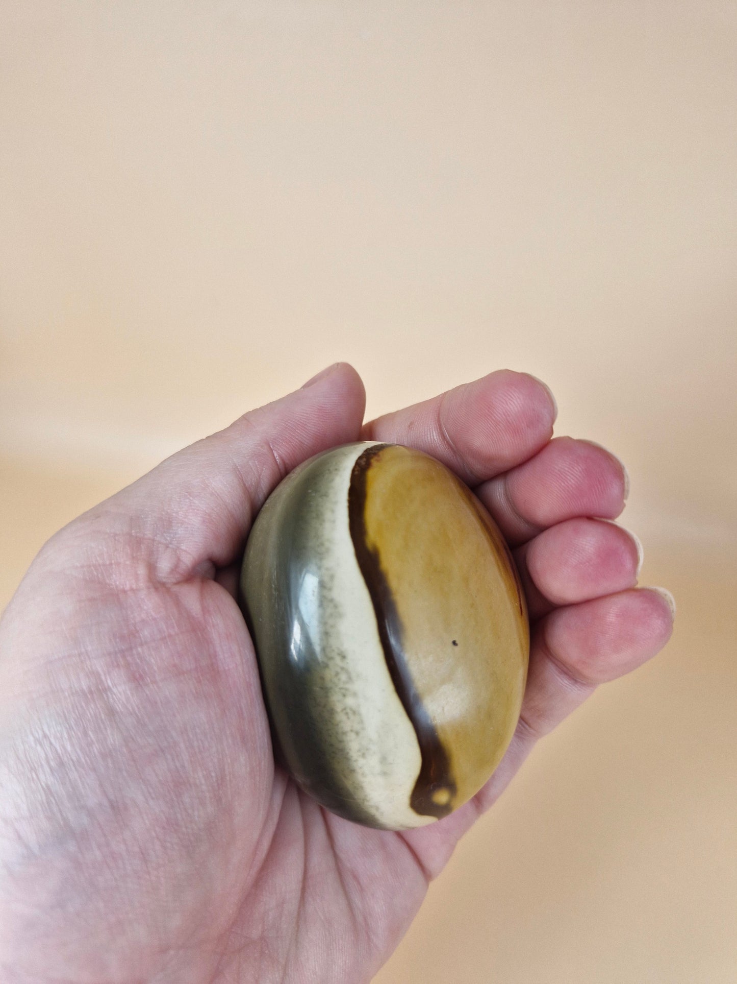 Polychrome Jasper Palm Stone (code A)