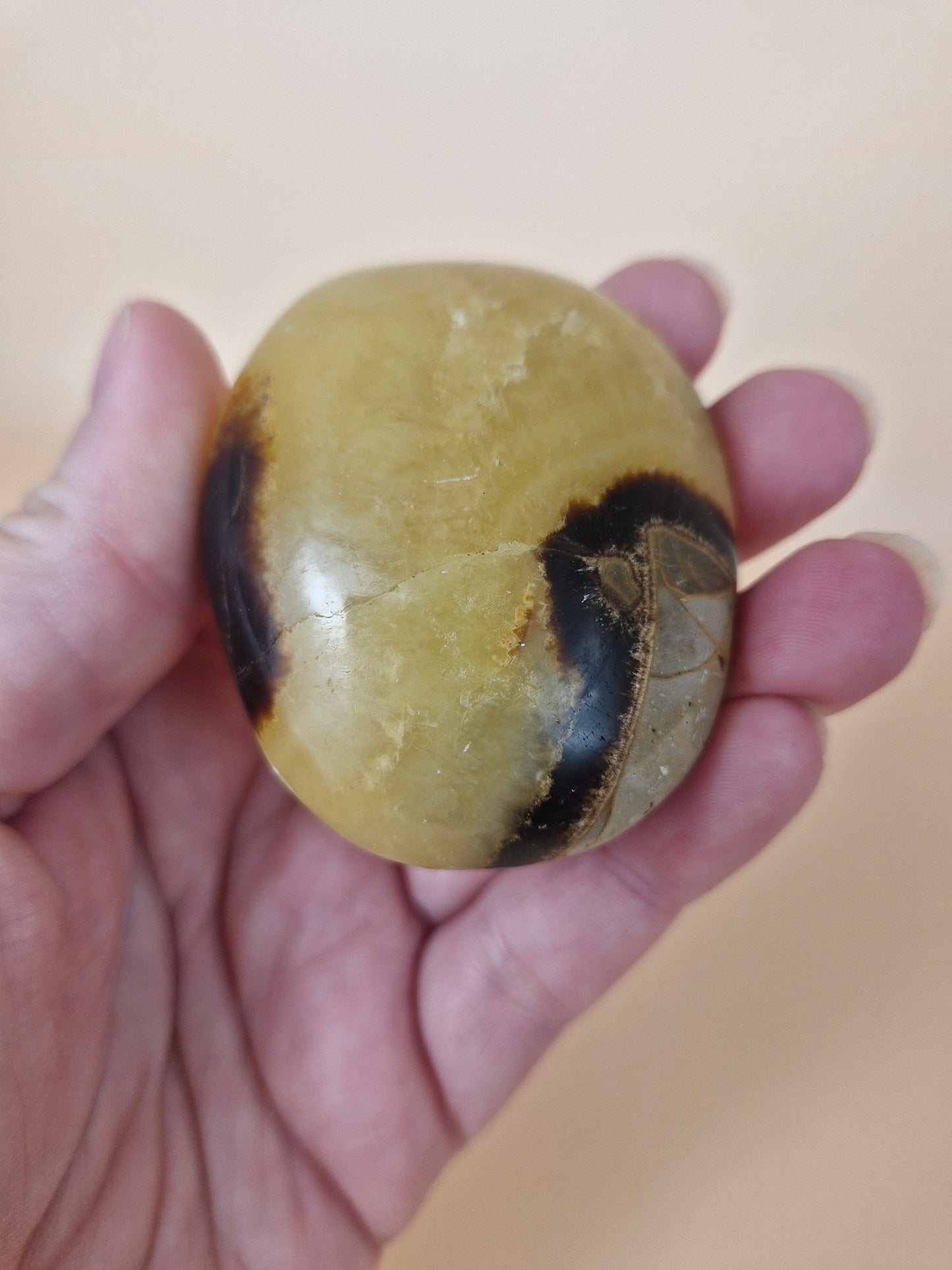 Septarian Palm with Druzy