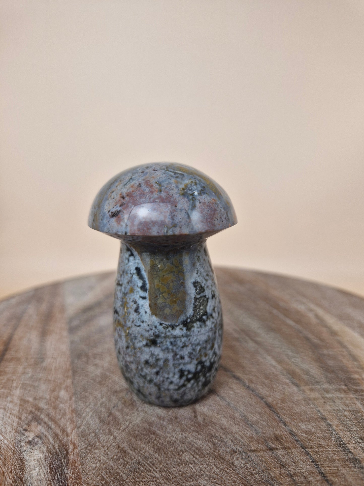 Ocean Jasper Mushroom