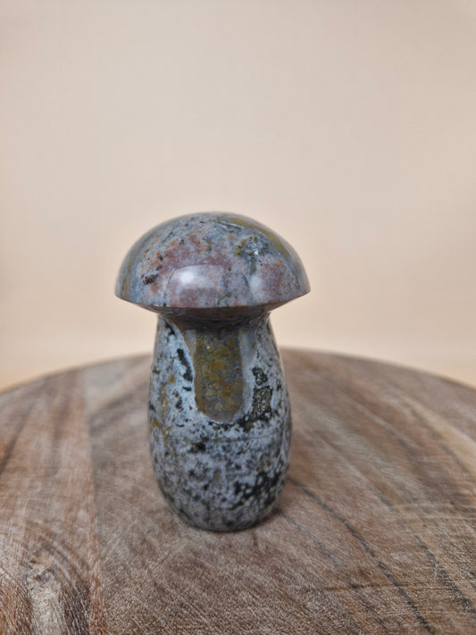 Ocean Jasper Mushroom