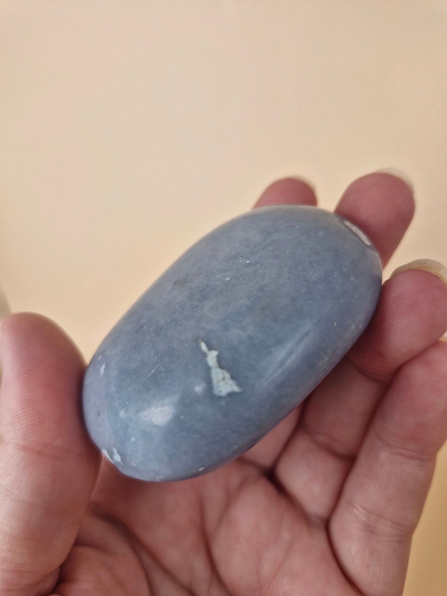 Angelite Palm (code AP4)