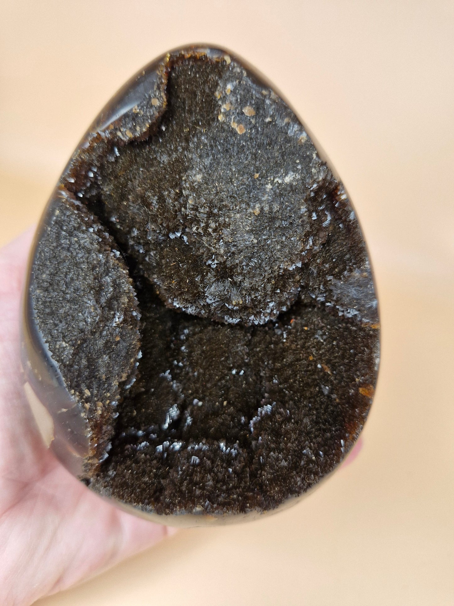 Septerian Egg