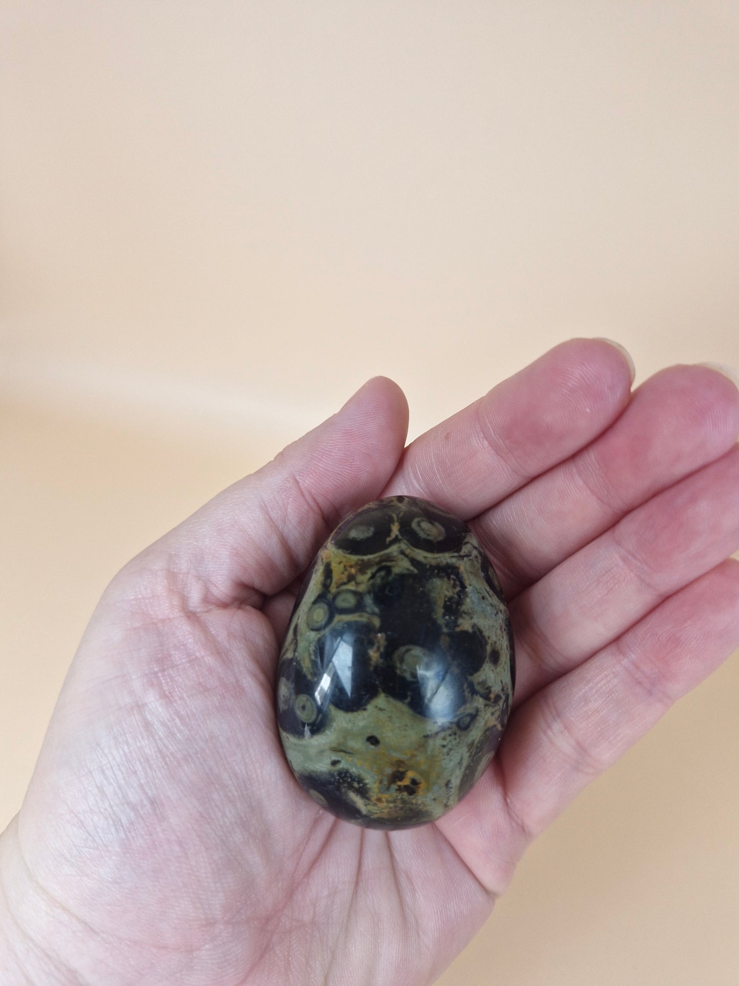 Kambaba Jasper Palm Stone (code A)