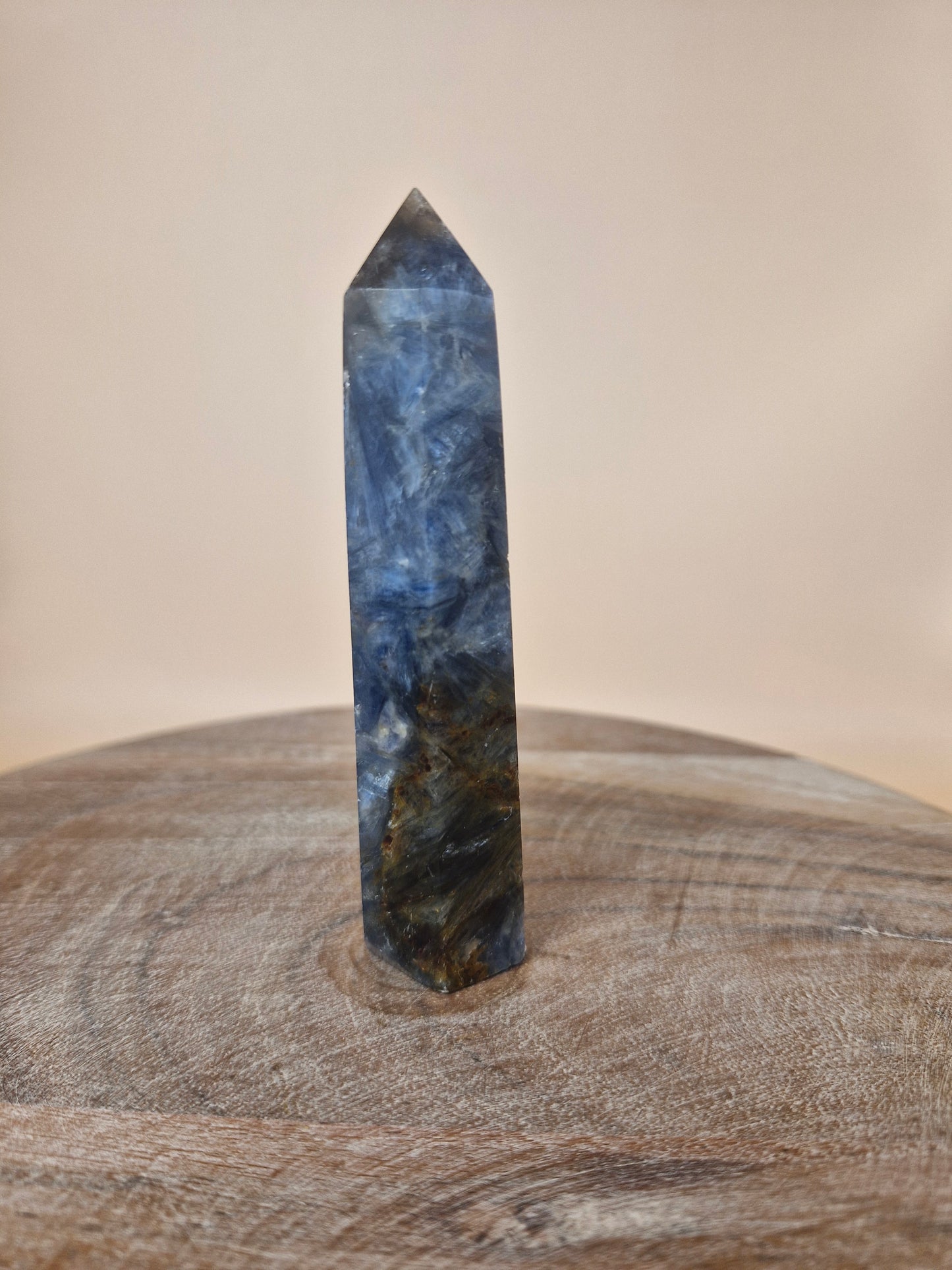 Kyanite with Golden Healer Point